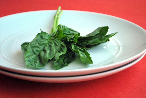Fresh Basil Bruschetta recipe and image by Lacey Stevens-Baier, personal chef of Sweet Pea Chef