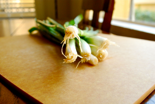 Green Onion Potato Salad recipe and image by Lacey Stevens-Baier, personal chef of Sweet Pea Chef