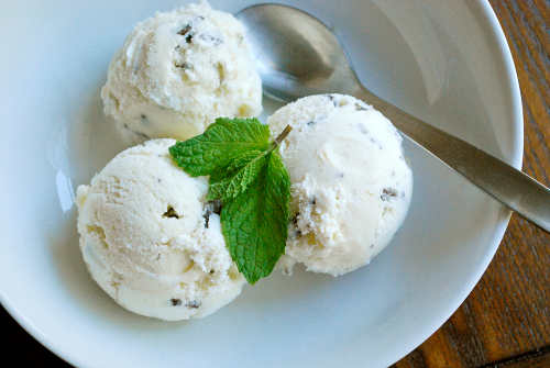 Mint Chocolate Chip Ice Cream